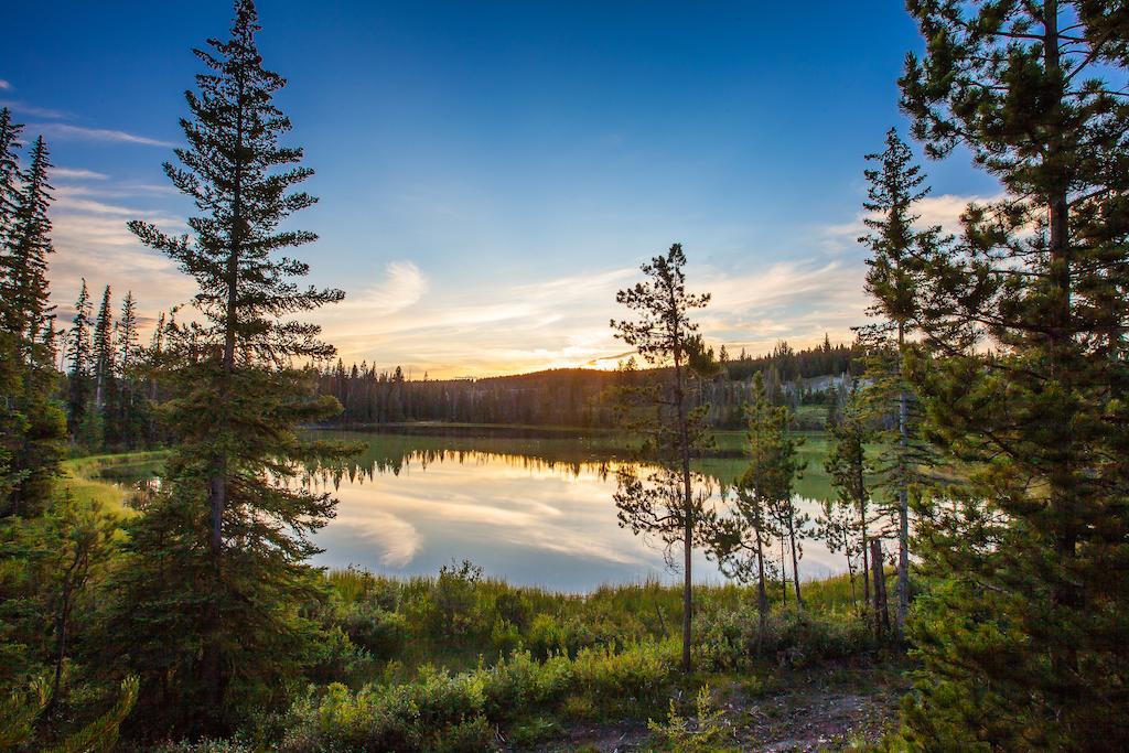 Lac Le Jeune Wilderness Resort Kamloops Eksteriør billede