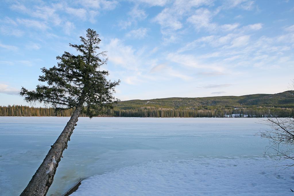 Lac Le Jeune Wilderness Resort Kamloops Eksteriør billede